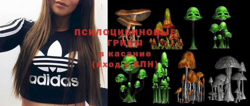 Галлюциногенные грибы MAGIC MUSHROOMS  Трубчевск 