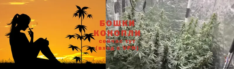 магазин    Трубчевск  Конопля OG Kush 